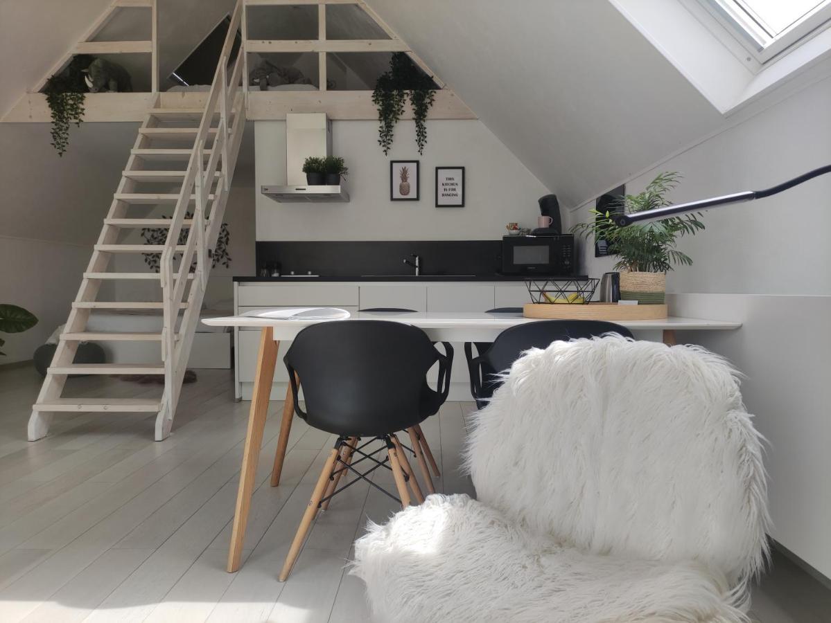 Ferienwohnung *** Biezoe *** Brakel Exterior foto